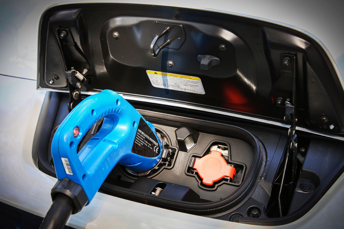 Dia Mundial do Meio Ambiente