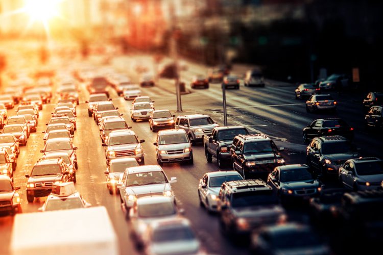 Dia Mundial do Meio Ambiente