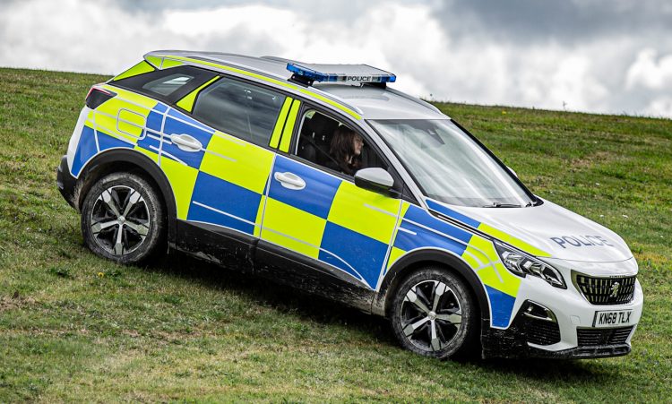 Peugeot 3008 Policial [divulgação]