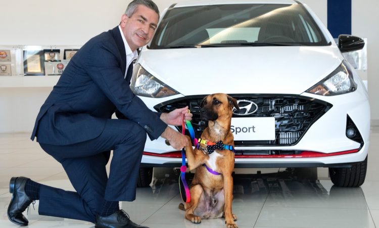 Cão Tucson visita fábrica da Hyundai [divulgação]