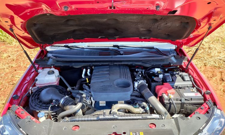 [Auto+ / João Brigato)