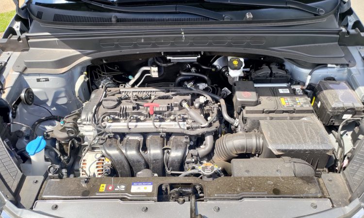 [Auto+ / João Brigato]