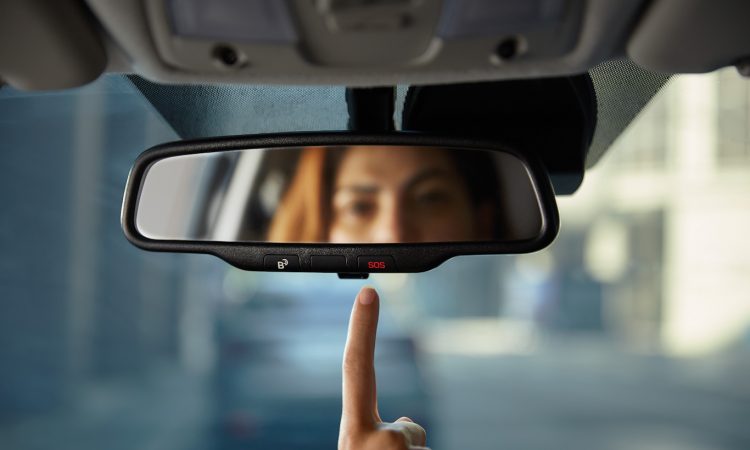 Hyundai Bluelink [divulgação]