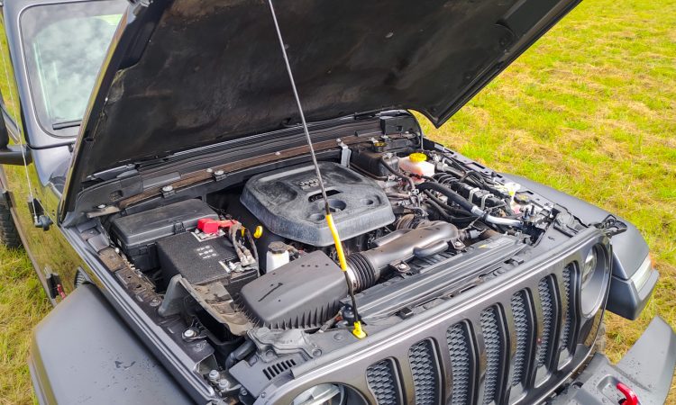 Jeep Wrangler Rubicon [Auto+ / João Brigato]