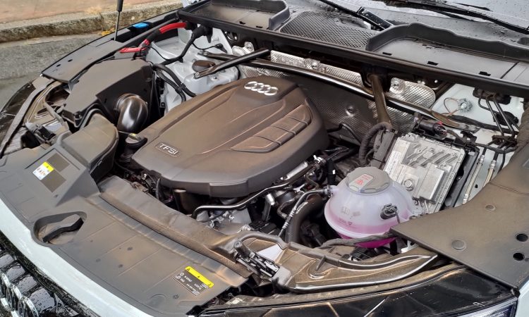 Audi Q5 e Q5 Sportback [Auto+ / João Brigato]