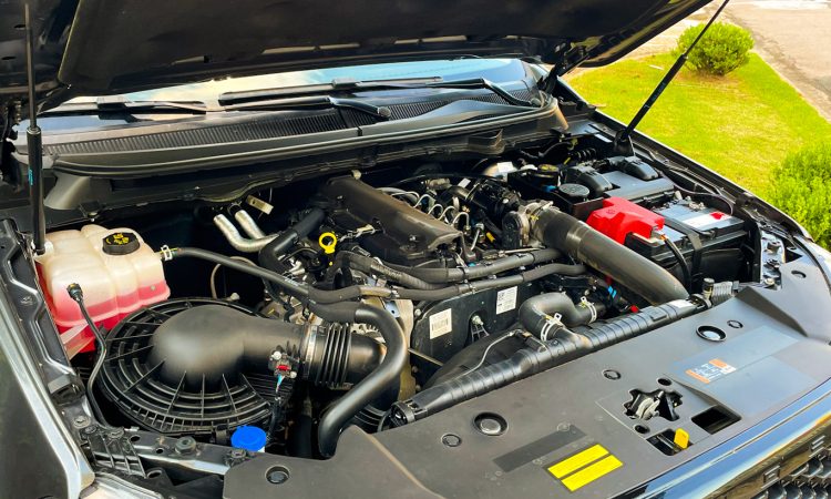  [Auto+ / João Brigato]