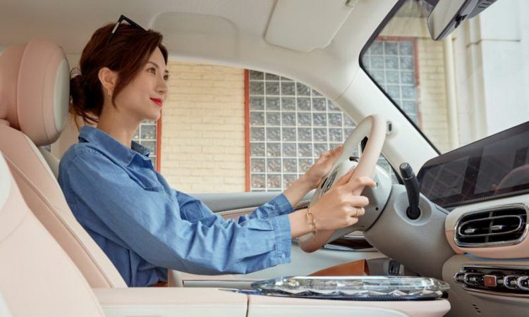 Ora Ballet Cat [divulgação]