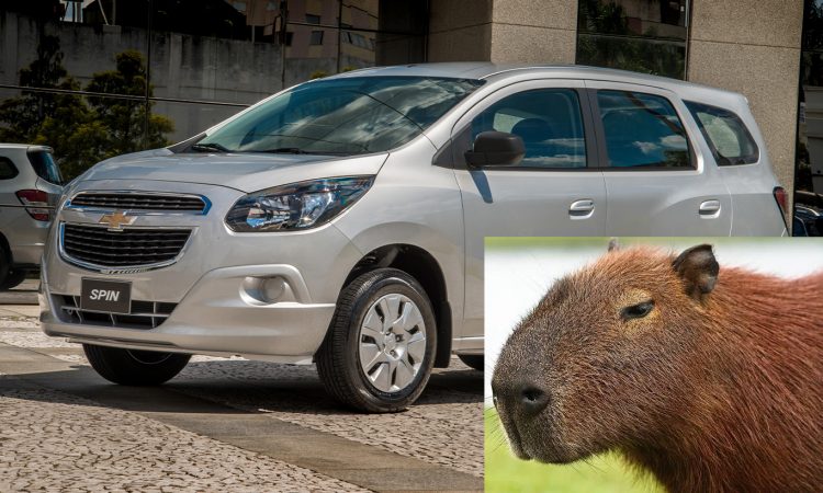 Chevrolet Spin e Capivara [divulgação]