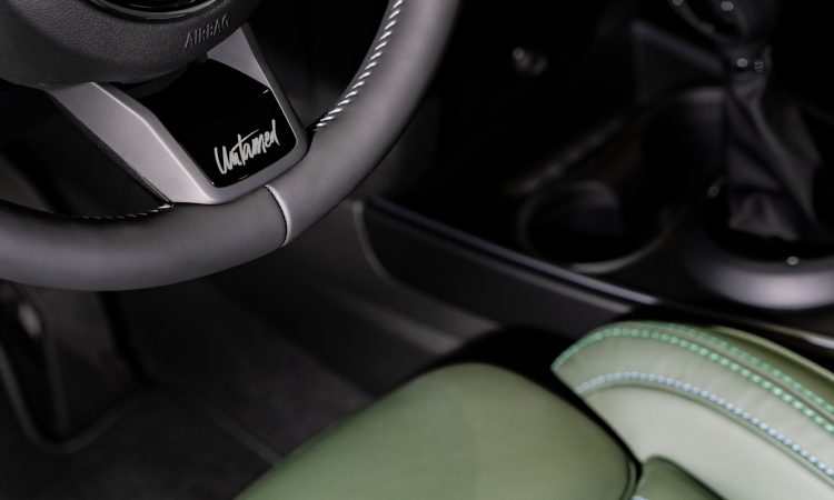 Mini Countryman Untamed Edition [divulgação]