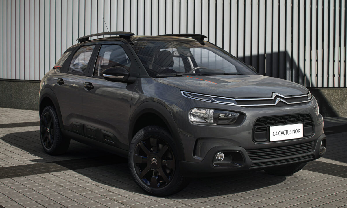 C4 Cactus Noir parado de frente com parede ripada branca ao fundo