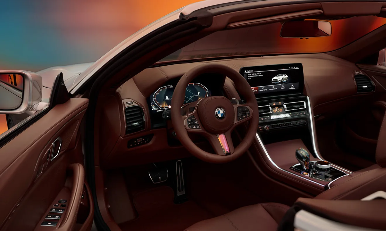 BMW Concept Skytop [divulgação]