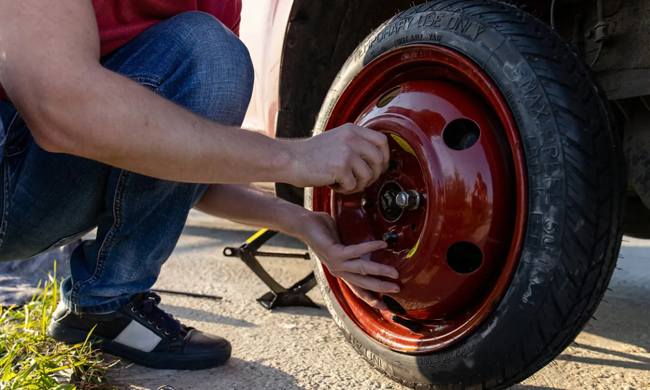Estepe temporário [reprodução]