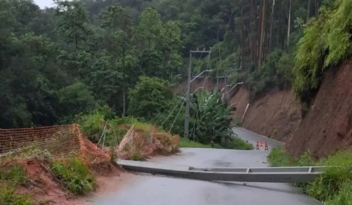 Poste derrubado no meio da pista com árvores e terra ao redor