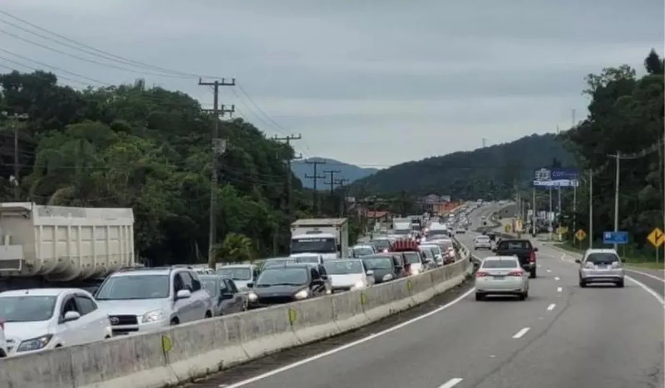 Excesso de carros causando congestionamento na SC-401, com mato ao redor