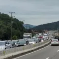 Excesso de carros causando congestionamento na SC-401, com mato ao redor