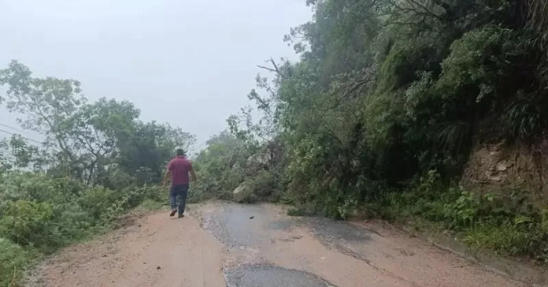 Árvores derrubadas pelo mau tempo em Serra no sul do Brasil e homem vendo estrago