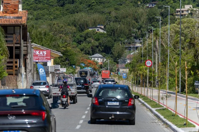 Carros andando no Binário da Lagoa da Conceição em Florianópolis, com mato ao fundo