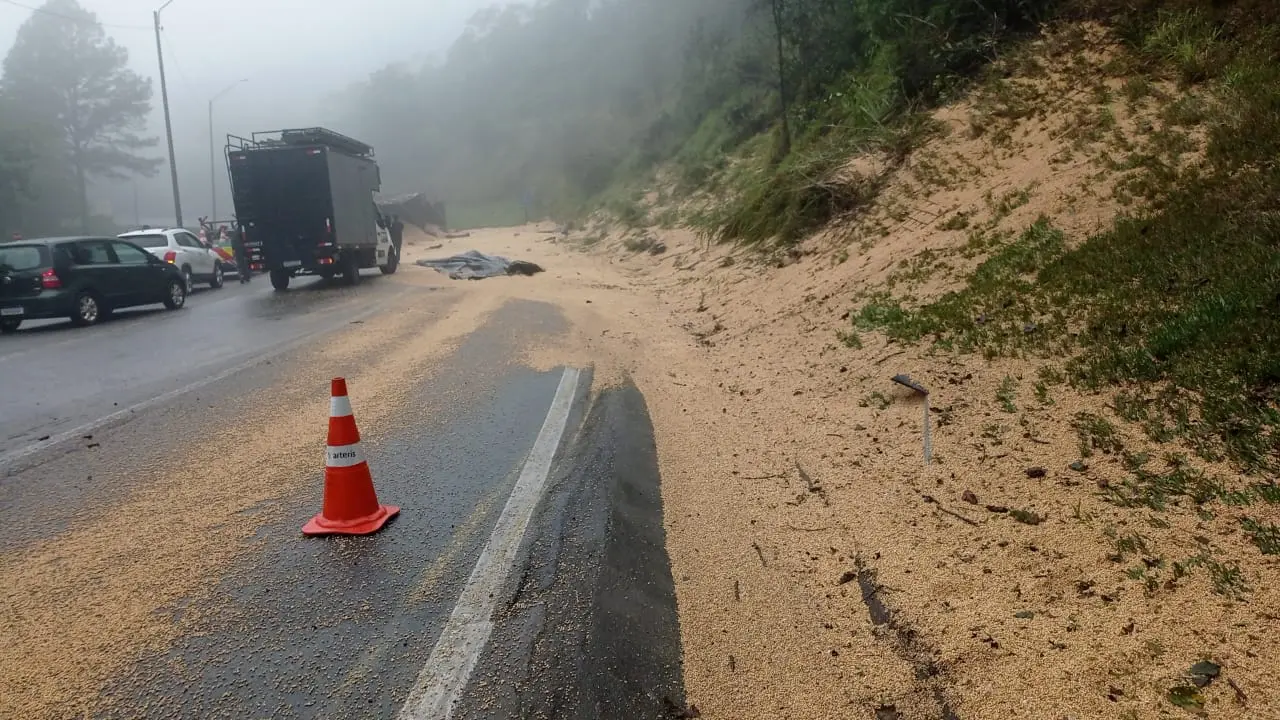Soja espalhada e carros parados após acidente